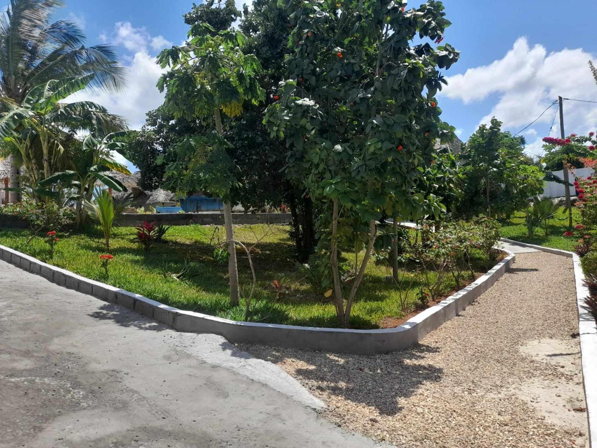 吉汶瓦 Africa Dream Bungalow Kiwengwa酒店 外观 照片