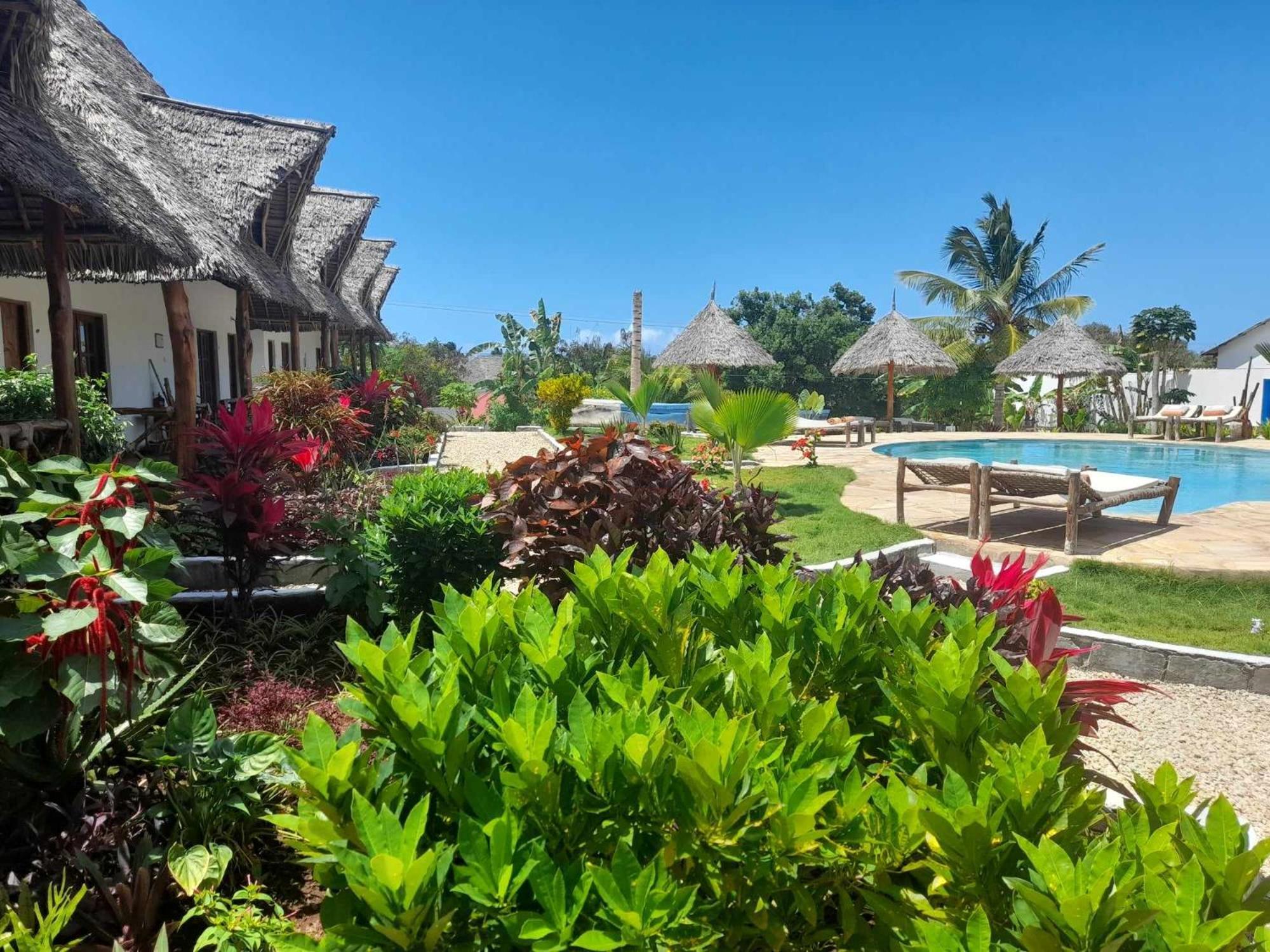 吉汶瓦 Africa Dream Bungalow Kiwengwa酒店 外观 照片